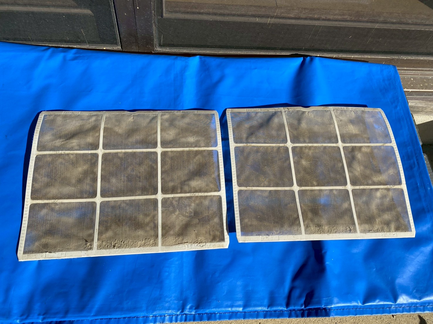 フィルター洗浄 （Before）